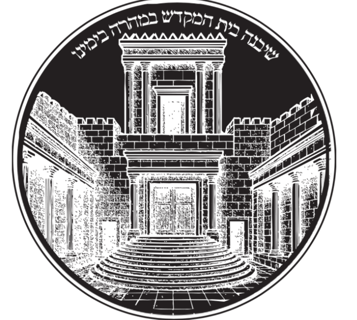 Local Machatzis Hashekel coin image - alternate view